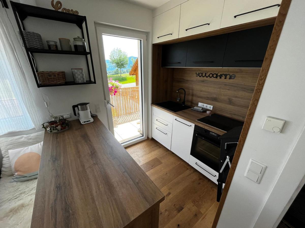 Jara Apartment- Ramsau Am Dachstein Kültér fotó