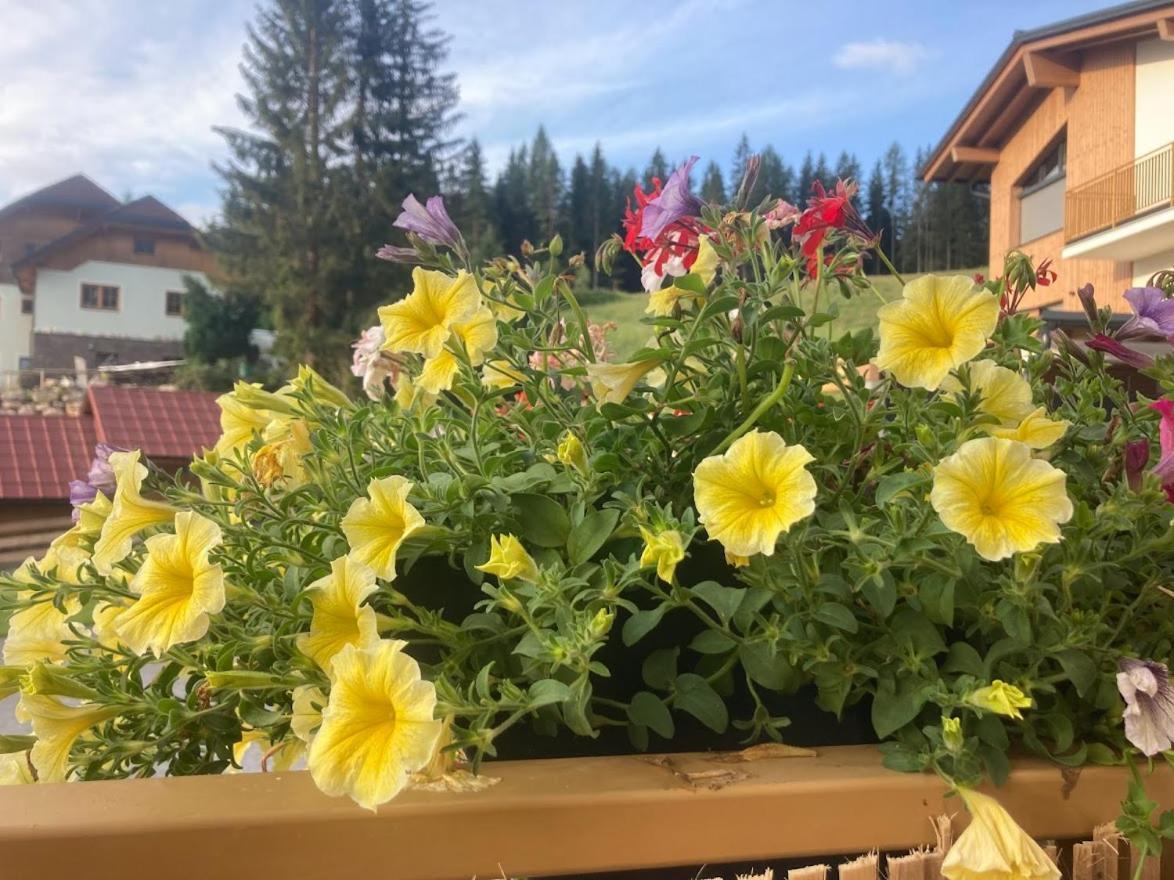 Jara Apartment- Ramsau Am Dachstein Kültér fotó