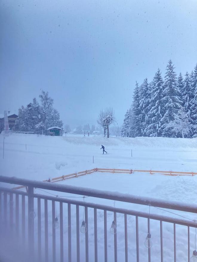 Jara Apartment- Ramsau Am Dachstein Kültér fotó